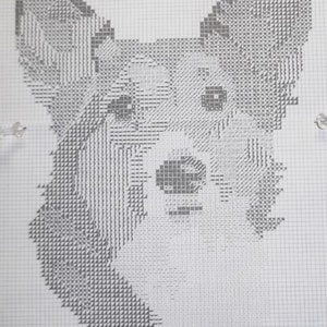 Welsh Corgi-1 Dog Pattern