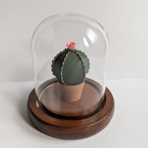 Piccolo cactus. Campana di carta a forma di pianta