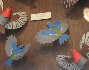 Garden Dwellers. Paper-cut Robin and Blue Tit Sculpture. 1:2 Scale. 2017.