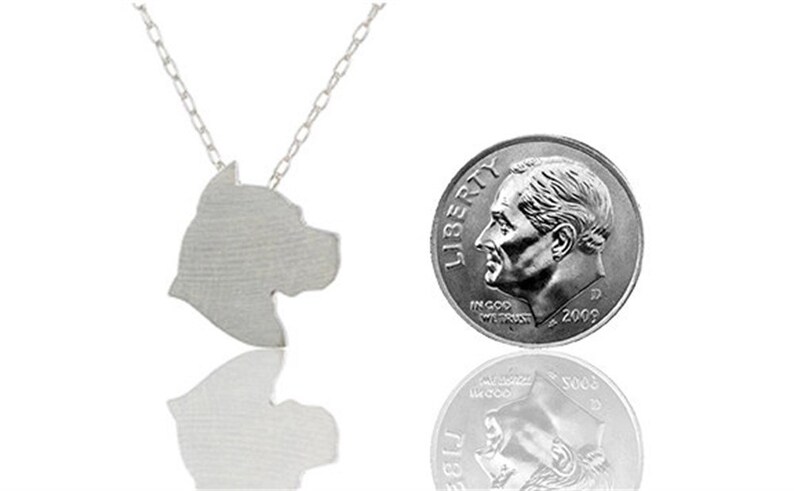 Silver Special Design Obsolescere Pit Bull Necklace