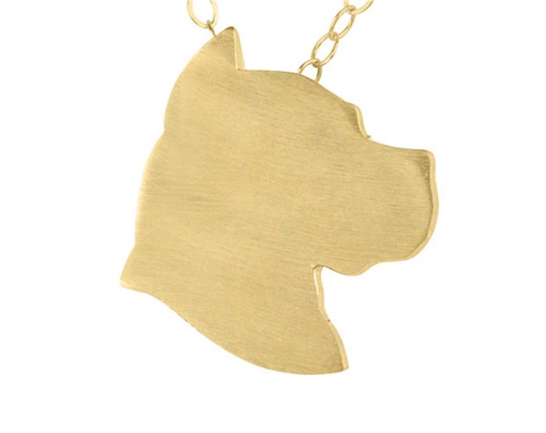 Silver Special Design Obsolescere Pit Bull Necklace