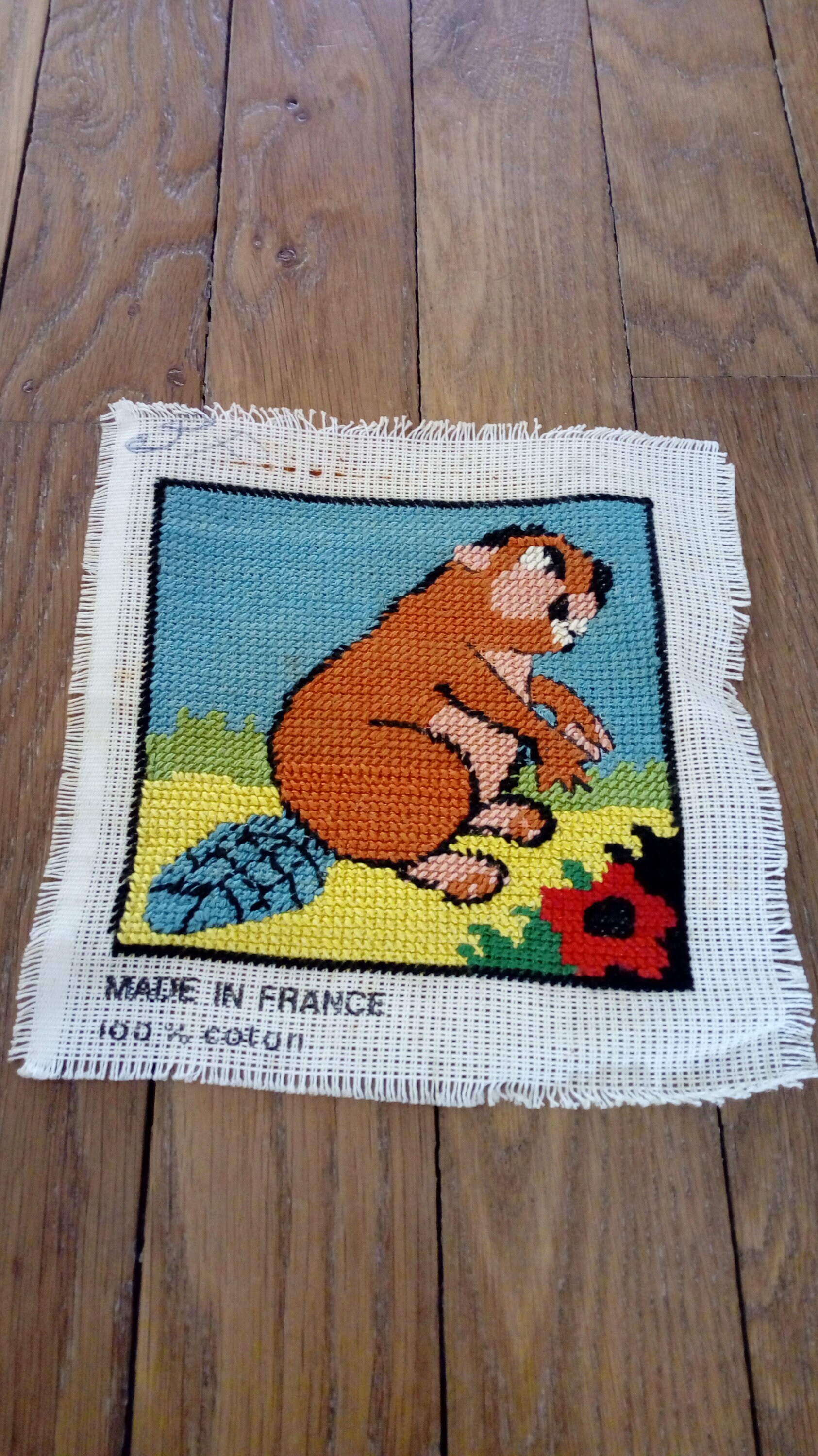 Tableau Vintage Canevas Broderie Coton Marmotte Castor Décoration Murale Enfant