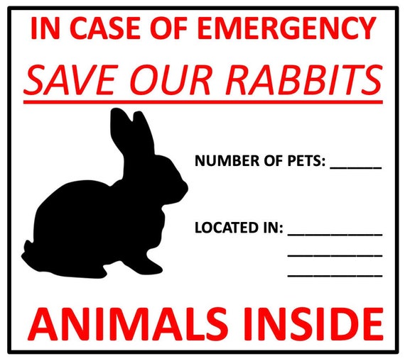 EMERGENCY Rabbit Rescue (1) STICKER in Case of Emergency, Save