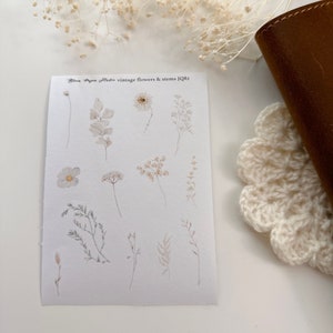 JQ82 Vintage Flowers and Stems Journaling Bullet Journal Planner Stickers