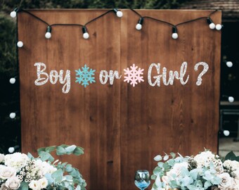 May include: A glittery silver banner with the text Boy or Girl? featuring a turquoise snowflake icon between Boy and on, and a light pink snowflake icon between on and Girl. The letters and snowflakes have a textured, sparkling finish.