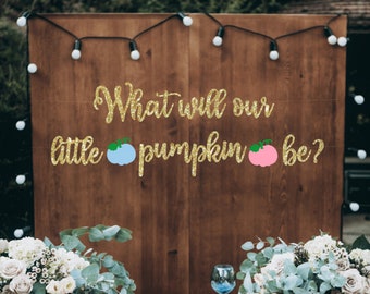 Pumpkin Gender Etsy