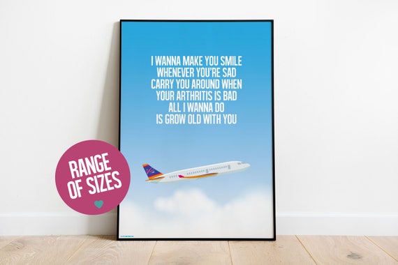 The Wedding Singer Movie I Wanna Grow Old With You Song Etsy