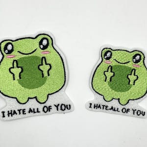 I hate all of you Frog Patch | Iron on | Hat Patch | Hook | Funny