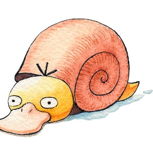 Caracol-pato