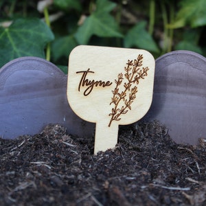 Op de afbeelding: Een houten plantenmarker met het woord "Tijm" en een tekening van een tijm plant. De marker is bruin en heeft een afgeronde bovenkant. Hij staat in een pot met aarde.