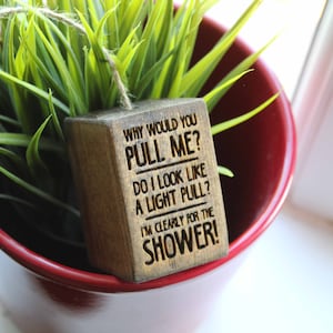 Könnte beinhalten: Ein Holzschild mit dem Text "WHY WOULD YOU PULL ME? DO I LOOK LIKE A LIGHT PULL? I'M CLEARLY FOR THE SHOWER!" hängt an einer Topfpflanze.