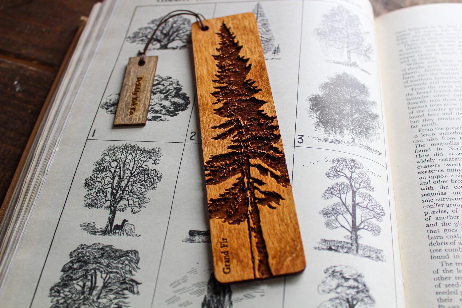 Wooden Bookmark Grand Fir Tree Rustic Handmade Wood Burning Book Lover ...