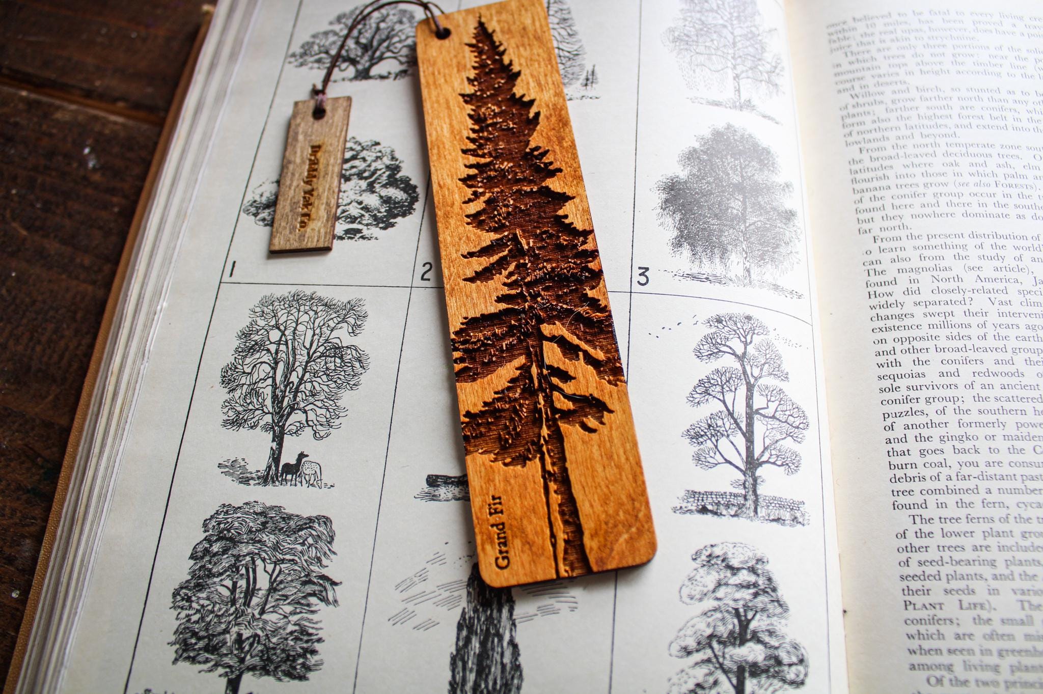 Wooden Bookmark Grand Fir Tree Rustic Handmade Wood Burning Book Lover ...