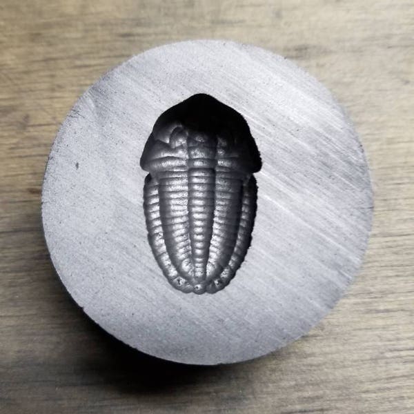 Graphite Mold: Trilobite