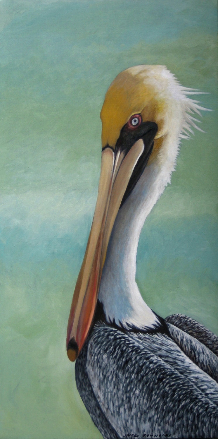 Pelican. Giclee Print. Based on My Original Bird Painting. Etsy