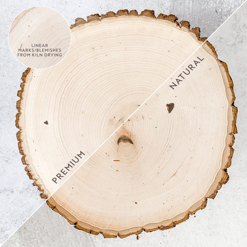 Modern Family Tree Wood Slice Art, Personalized Gift Ideas for Mom, Custom Mothers Day, 50th Wedding Anniversary, Grandmother, Grandma image 3