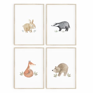 4er Set Kunstdruck/Poster - Waldtiere