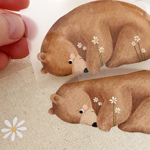 Toppa termoadesiva - orso timido