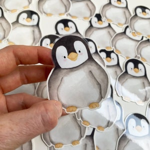 Vinile adesivo con bordo trasparente - pinguino