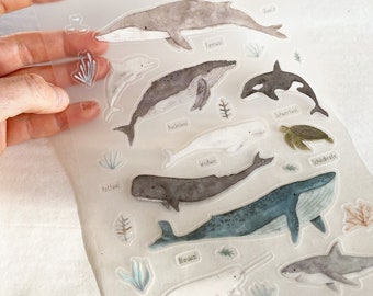 Sticker sheet/sticker sheet/washi paper/vinyl transparent -sea creatures