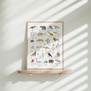May include: A framed alphabet poster with illustrations of animals for each letter. The poster has a white background with black lettering and colorful animal illustrations.