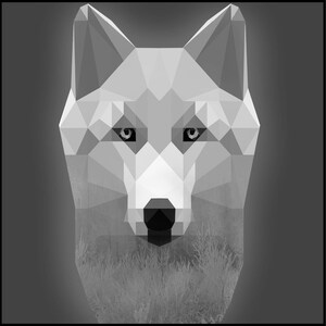 Lobo Blanco - Arte Digital Geométrico