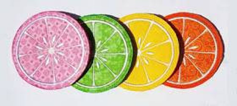 Citrus Embroidered coaster set of 4 image 2