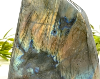 Losa de labradorita / Piedra pulida / Labradorescencia de alto destello - espectrolita de iridiscencia colorida