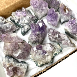 10-12 piece Bulk Brazilian Amethyst Crystal Collection Box, Natural Specimens in Box (Amethyst Crystal Cluster, Amethyst Geode)