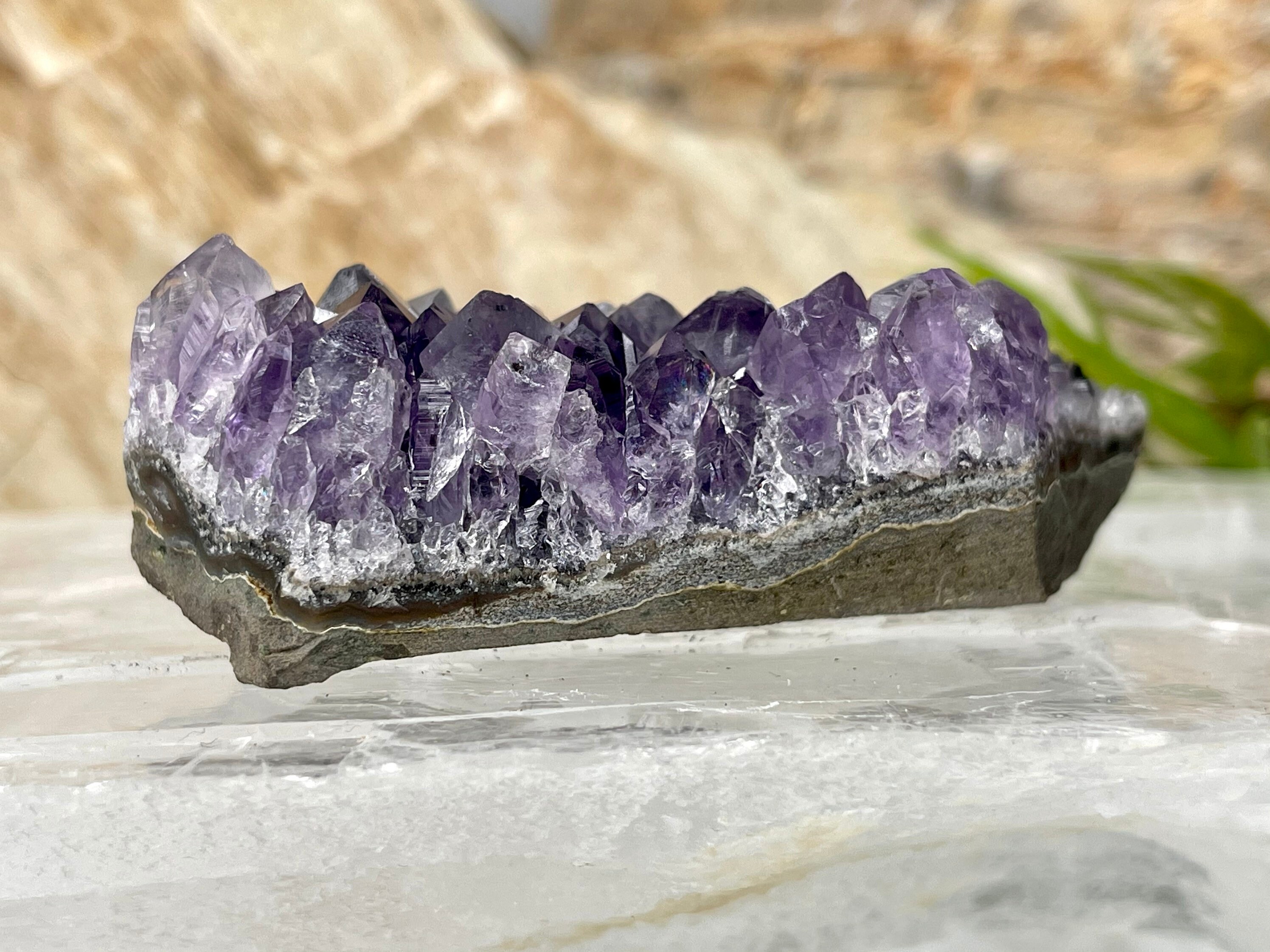 Cristalli Di Quarzo XX – Museo Di Scienze Naturali - Foto 7