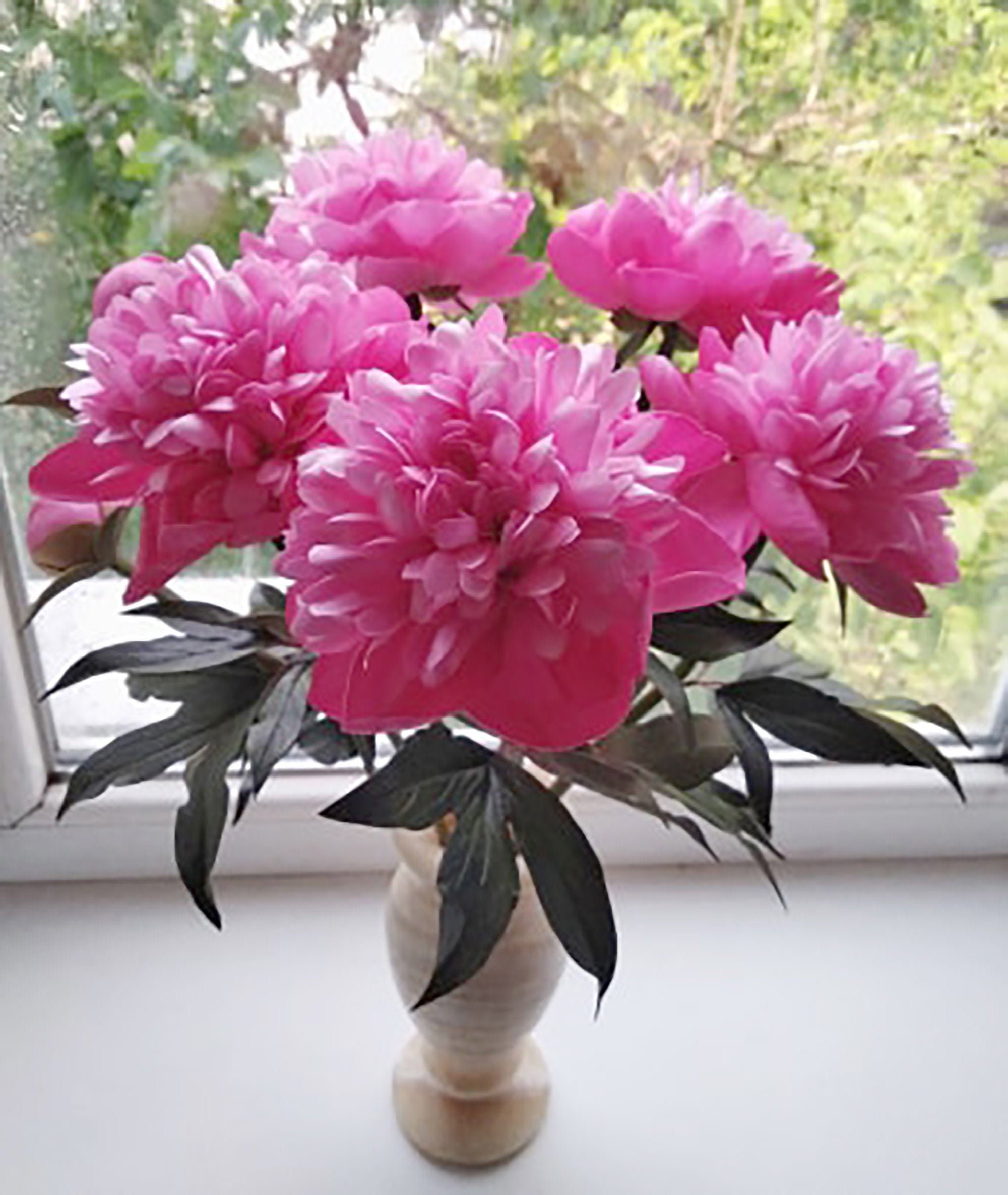 Fiori di peonie finte rosa Bouquet da sposa artificiale Decorazioni  floreali per la casa Fiori artificiali in vaso Peonia realistica  Centrotavola -  Italia