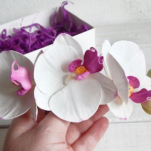 Tropical wedding headpiece White orchid flower hair piece Orchid hair clip Bridal hair comb Floral headpiece Hawaii flower Beach wedding
