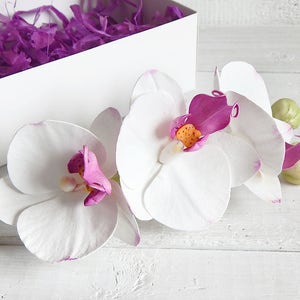 White orchid flower hair clip Wedding hair comb Tropical headpiece Bridal hair piece Floral head piece Hawaiian hair flower