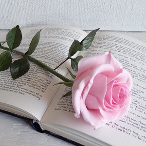 Pink rose flower arrangement Real touch flowers roses stem Red fake flowers stems Floral table centerpiece