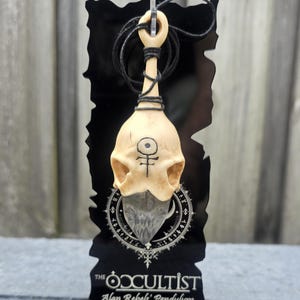 May include: A cream-colored skull-shaped pendant with a black cord, displayed on a black stand. The stand features the text "The Occultist Alan Rebol' Pendulum" and a circular design. The pendant has a symbol on the front.