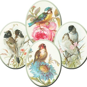 May include: Four oval-shaped decorative plaques featuring detailed bird illustrations. One shows a blue-headed bird on a pink rose, another depicts two brown-and-white birds on branches, a third shows a bird on a blue flower, and the last shows two birds.