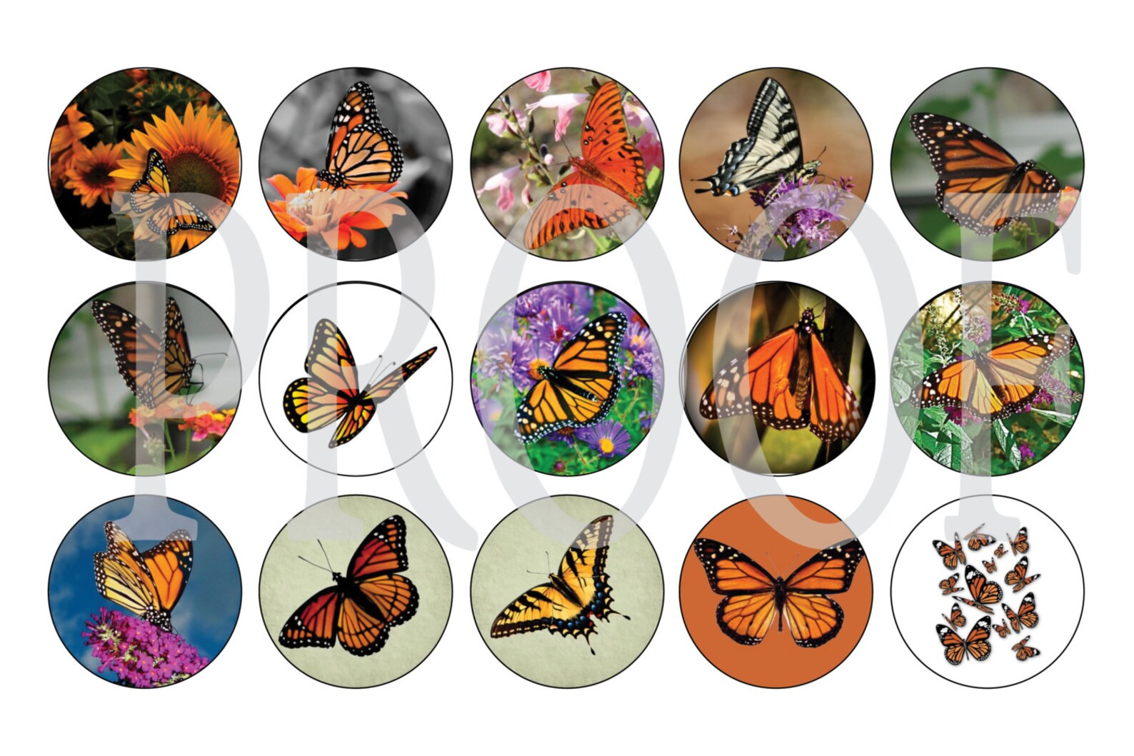 Digital Bottle Cap Image Sheet Butterfly 1 Inch Digital Etsy