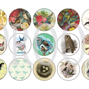 Digital Bottle Cap Image Sheet - Vintage Birds - 1 Inch Digital Collage - Instant Download