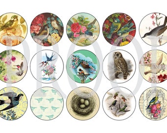 Vintage Birds - 4 X 6 Digital Collage Sheet - 1 Inch Round Circles ...