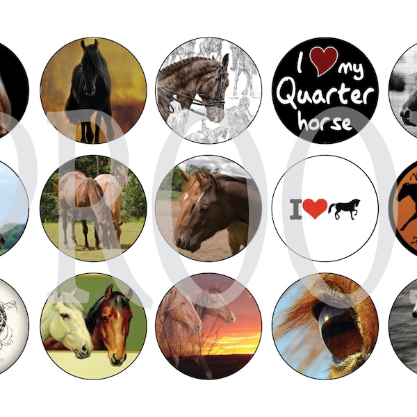 Horse Bottle Cap Etsy