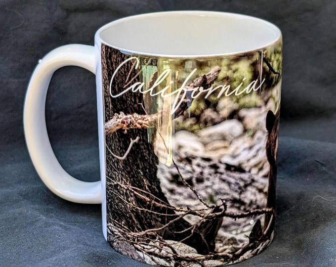 Lake Tahoe Mug #6