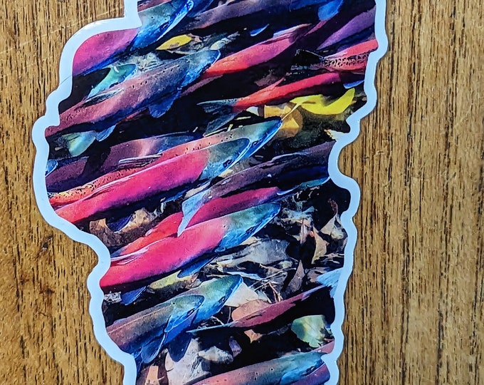 Lake Tahoe Sticker- Kokanee salmon run