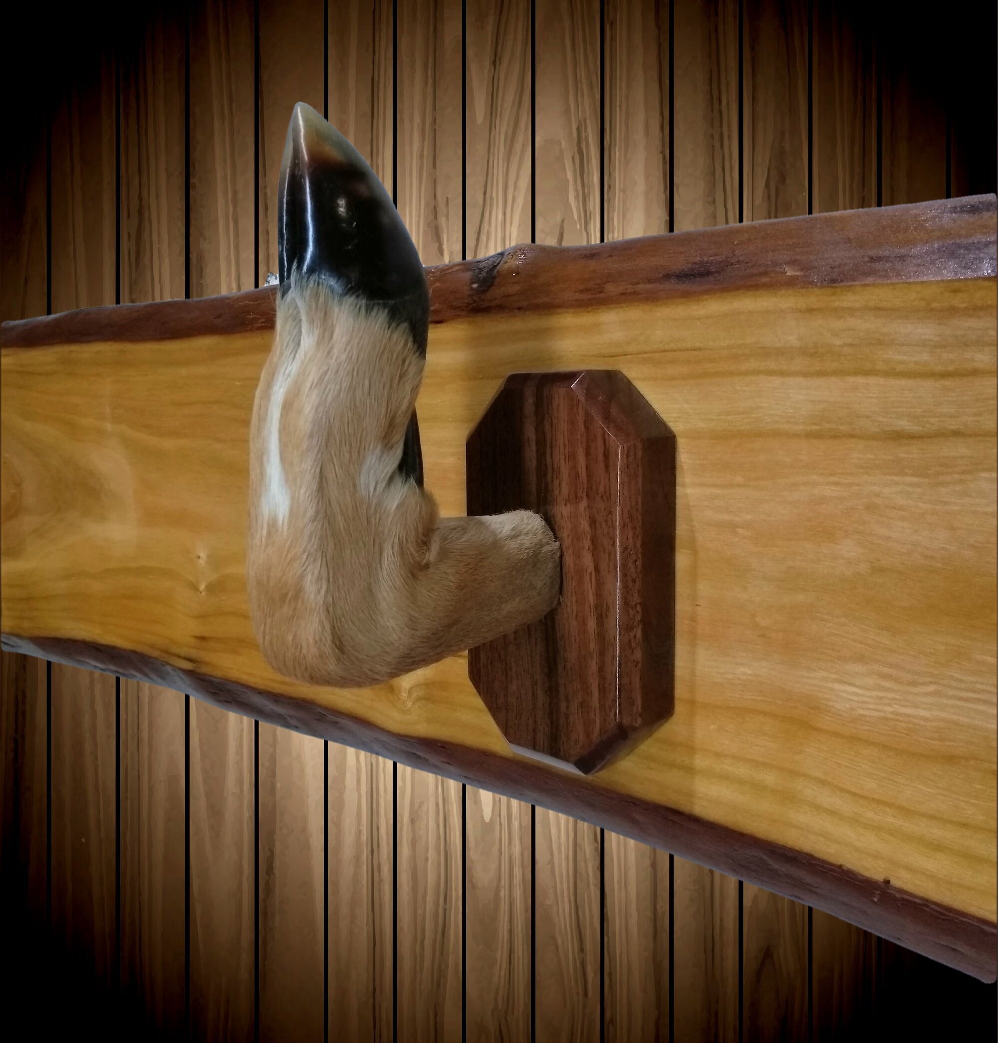 Rustic Gun Rack Live Edge Red Maple Small Shelf Deer Hoof Hangers Wall