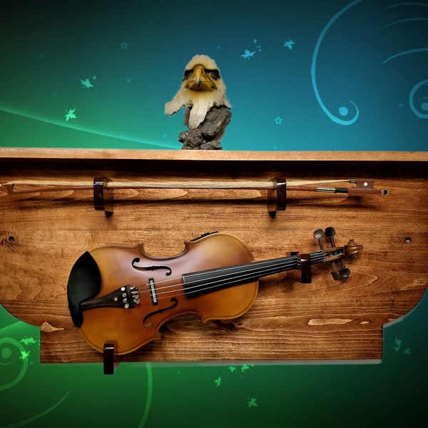 Violin Display Case - Etsy