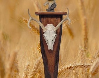 Rustic Handcrafted Live Edge Cherry European Mount with Shelf Collector Gift