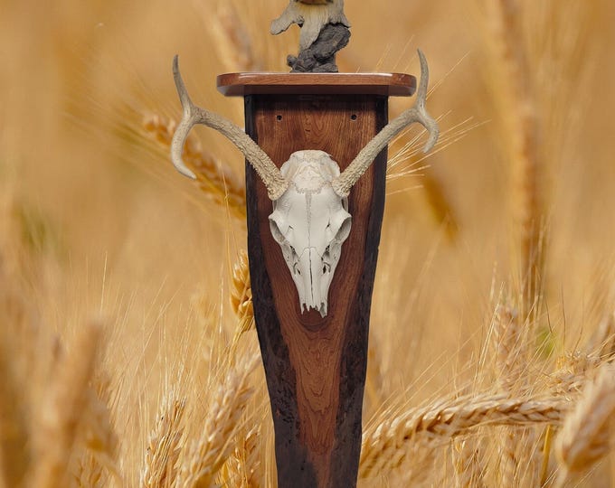 Rustic Handcrafted Live Edge Cherry European Mount with Shelf Collector Gift