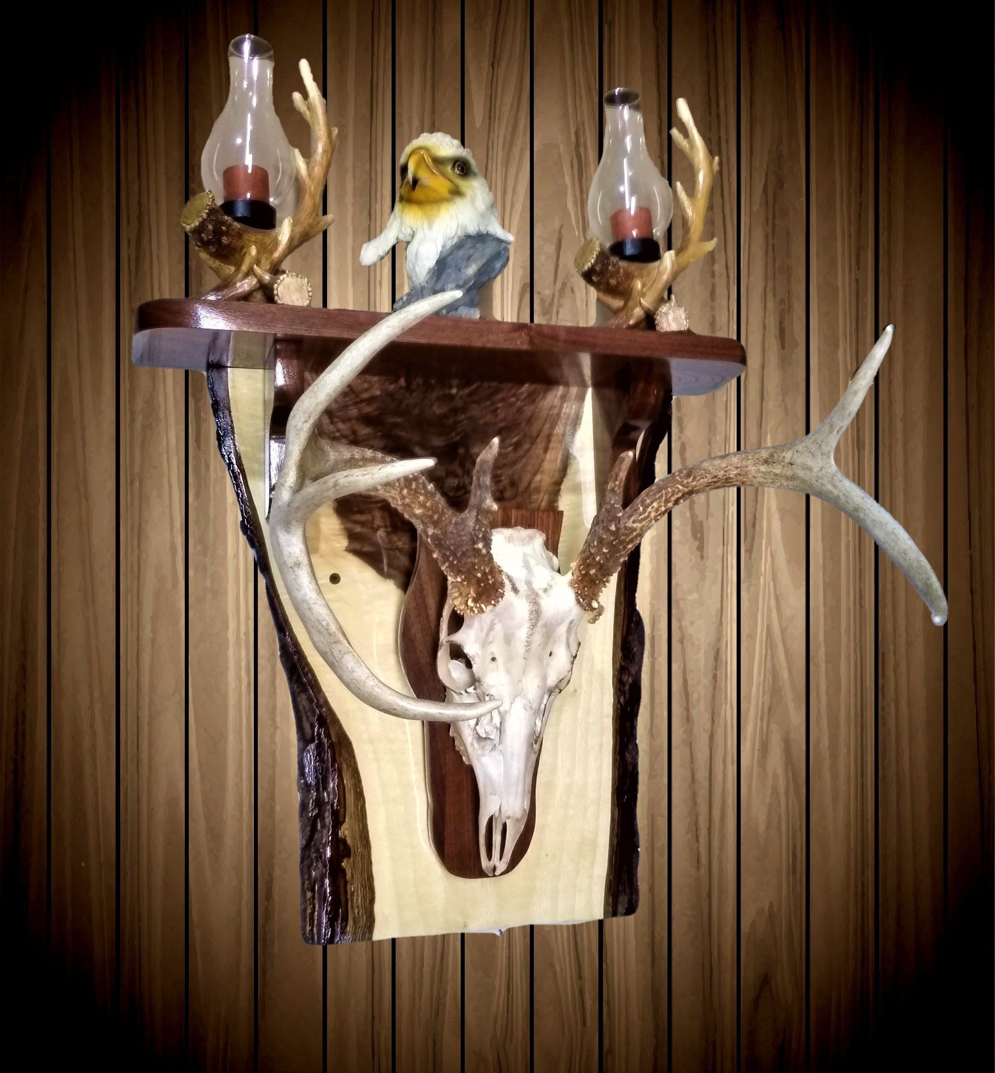 deer mount european skull whitetail rustic shelf walnut cabin gift handcrafted