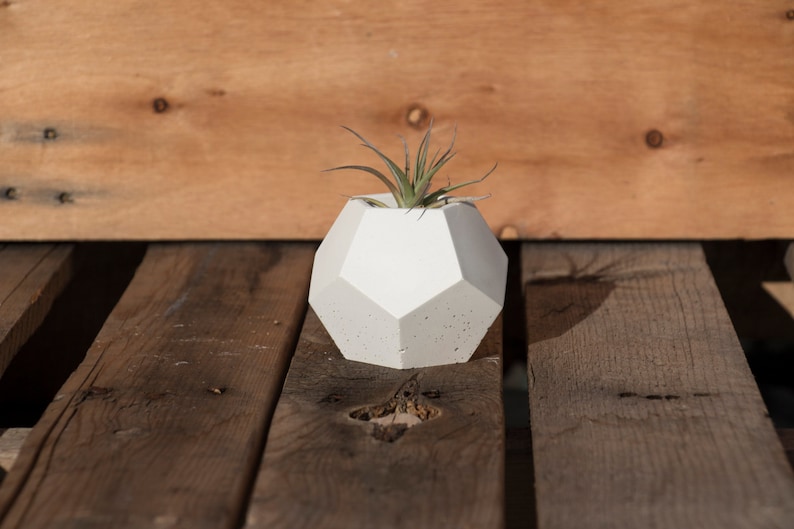 May include: A white geometric concrete planter with a small air plant growing inside. The planter is sitting on a wooden surface.