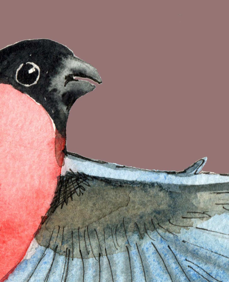 Watercolor bullfinch Christmas bird clipart Merry Christmas Christmas clipart for download Woodland Animals Scrapbooking