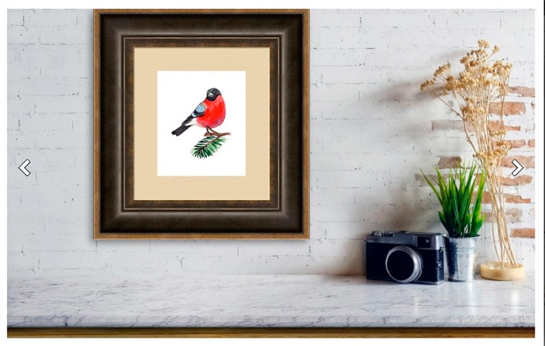 Watercolor bullfinch Christmas bird clipart Merry Christmas Christmas clipart for download Woodland Animals Scrapbooking